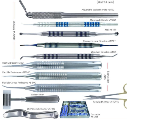 Dr Frawley Grafting Instrument Kit- Bone Grafting Mini Instrument Kit