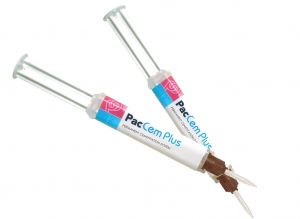 PacCem Plus Permanent Cement