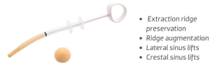 Bone Allograft Putty  
