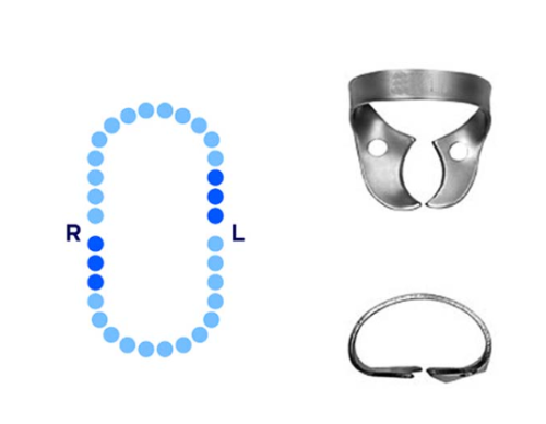 POMEE USA Rubber Dam Clamps