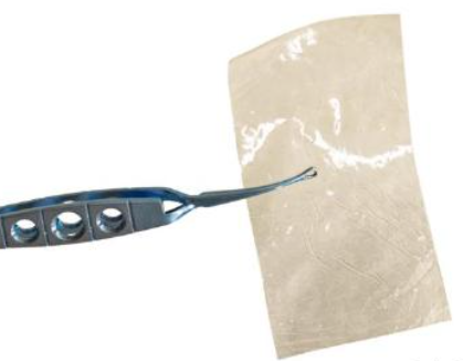 Amnion Chorion-Chorion Sheet